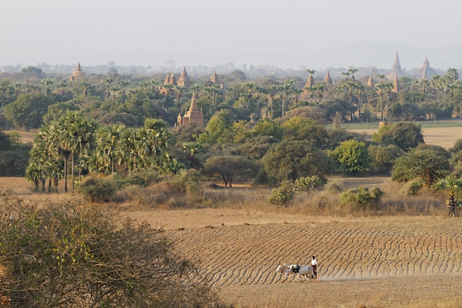 Pagan-lever de soleil-067